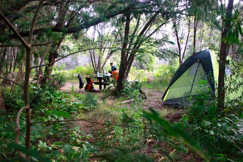 Cape to Cape Guided 'End to End' 8 Day Camping Experience